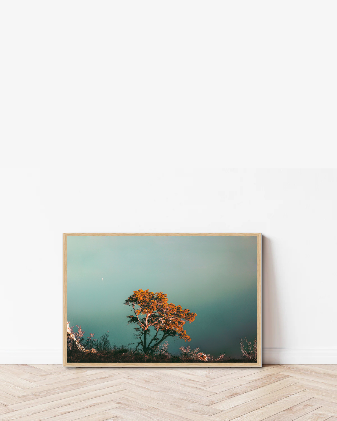 Soft Bloom Coast