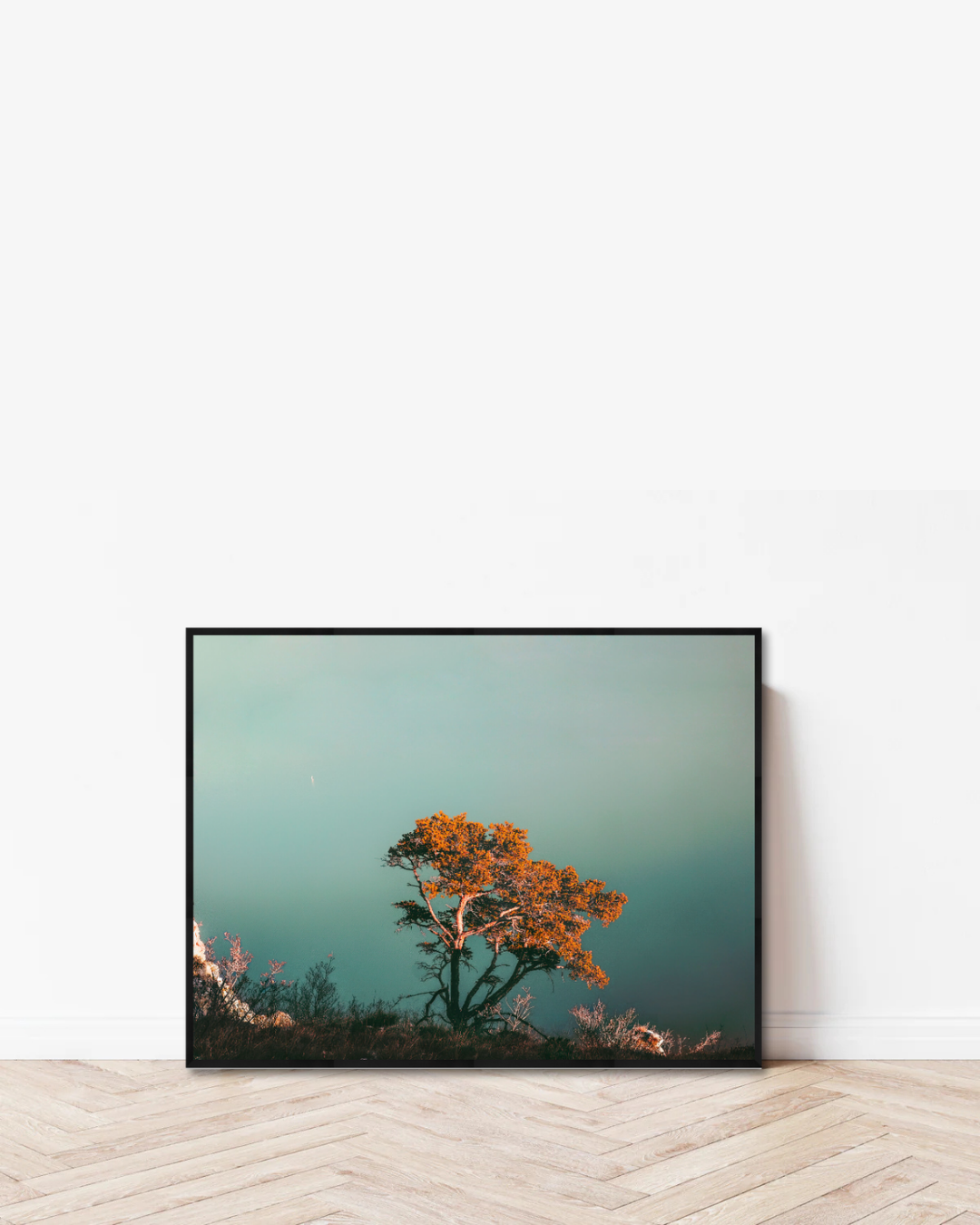 Soft Bloom Coast