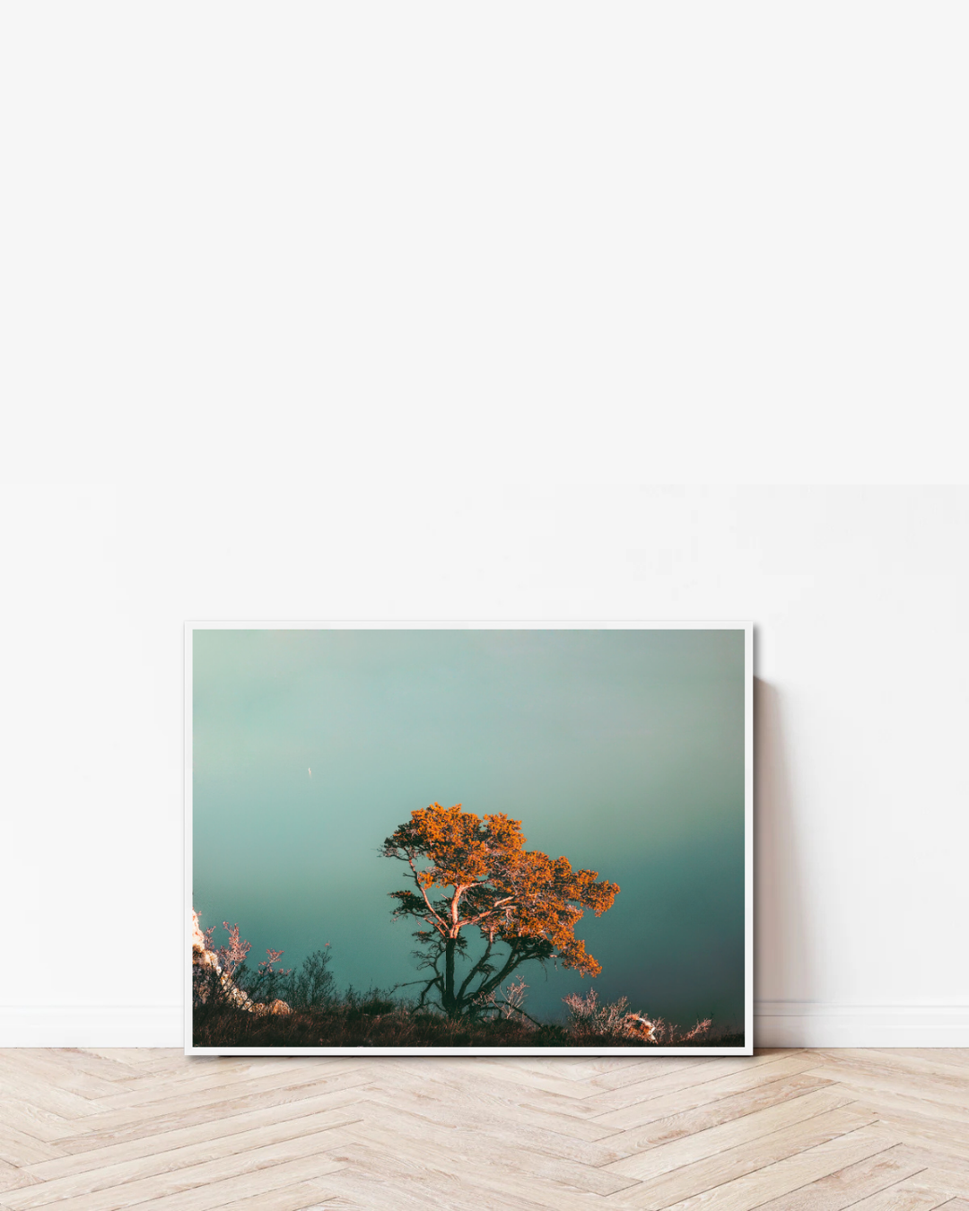 Soft Bloom Coast
