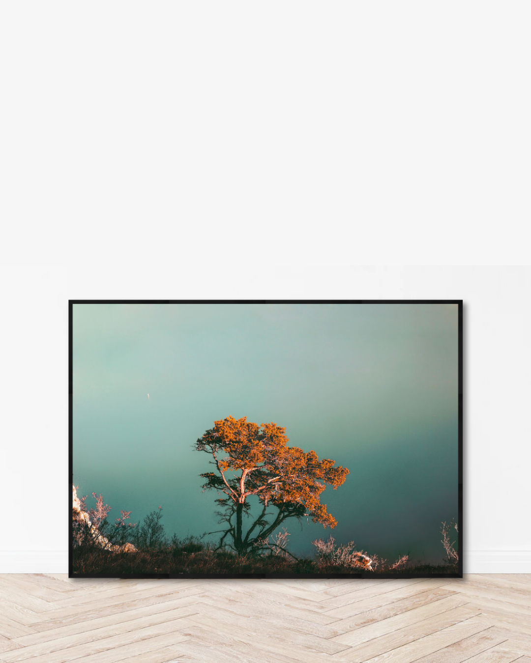 Soft Bloom Coast
