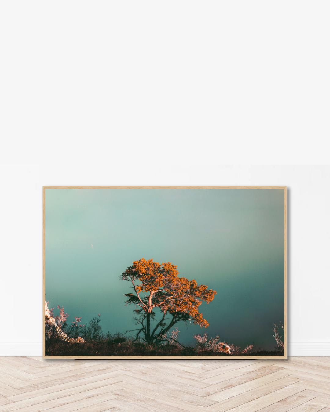 Soft Bloom Coast