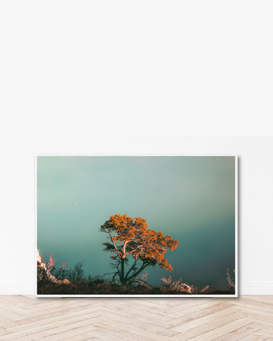 Soft Bloom Coast